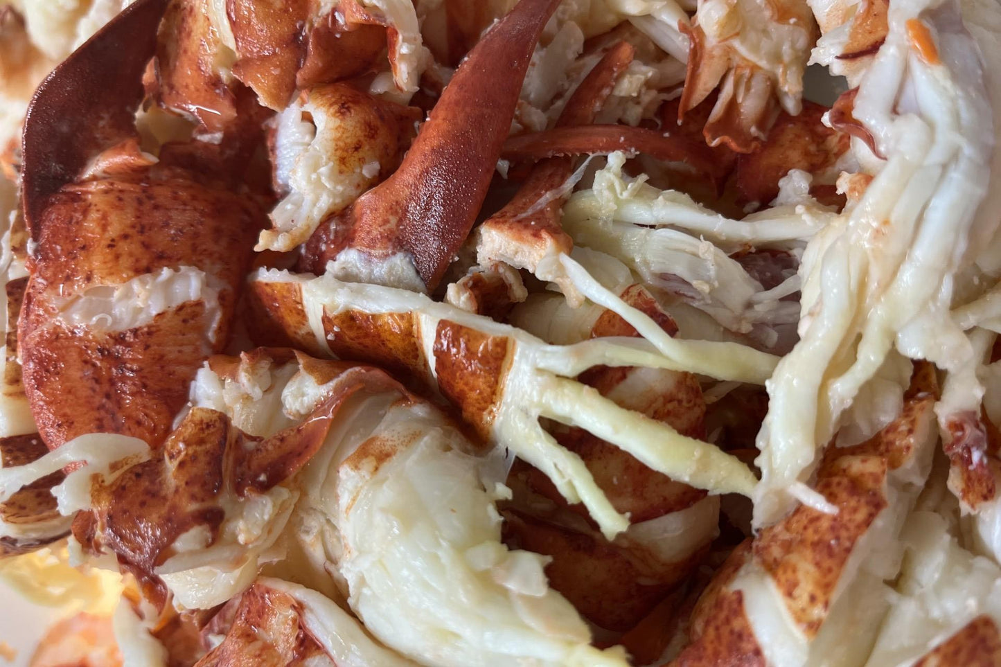 Lobster Meat - Tail, Claw, Knuckle