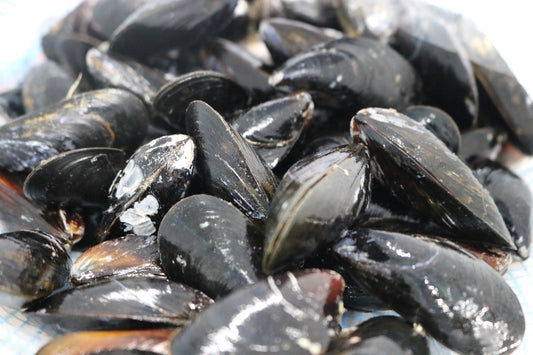 Mussels